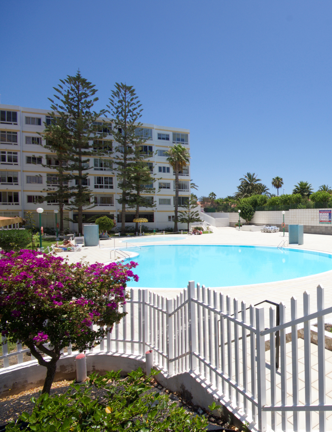 Pisicna y jardín Gran Canaria Stay Aloe Playa del Inglés Gran Canaria
