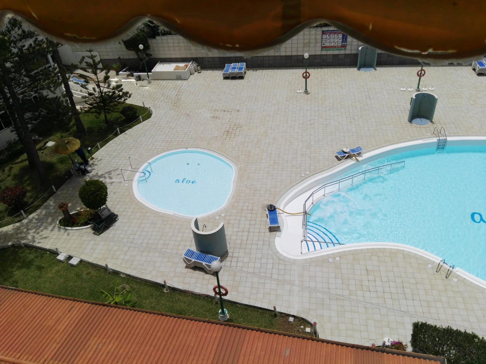 Piscina climatizada de Apartamentos Aloe